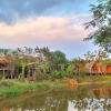 Отель Rice straw Green lodge- resort, фото 8
