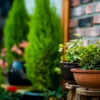 Отель Byulnuri Guesthouse, фото 6