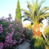 Отель Villa With one Bedroom in Maussane-les-alpilles, With Pool Access, Fur, фото 12