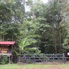 Отель Yatama Ecolodge Sarapiqui, фото 18