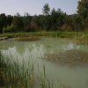 Отель Villa Ferraia, фото 6