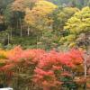 Отель Yadori Onsen Iyashinoyu, фото 16