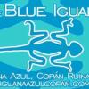 Отель Iguana Azul - Hostel, фото 18