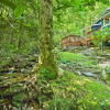 Отель Smoky Mountain Retreat w/ Games, Fire Pit & Patio!, фото 17