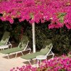 Отель Trade Winds Hotel, фото 21