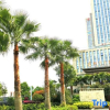 Отель Yingtang Fontainebleau Hotel, фото 7