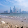 Отель Platinium Holiday Home at Five Residences Palm Jumeirah Dubai, фото 38