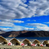 Отель TIH Pangong Lake View Cottages and Camps, фото 21