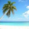 Отель Bungalow With one Bedroom in Capesterre de Marie Galante, With Wonderf, фото 13
