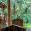 Отель Fernglen Forest Retreat of Mount Dandenong (Self Contained Bed And Breakfast Cottages), фото 23
