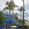 Отель Beach Front Resort On Beautiful Beach Near Atlantis, фото 11