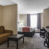 Отель Quality Inn & Suites, фото 6