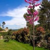 Отель Bulle de tendresse en Provence - Parking Piscine & Jaccuzzi - Peypin, фото 18