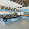 Отель Viva Wyndham Dominicus Beach Resort — All Inclusive, фото 33