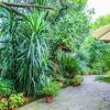 Отель Studio in Sorrento, With Wonderful sea View, Furnished Garden and Wifi - 1 km From the Beach, фото 9