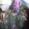 Отель Hutyee Boat Bungalow, фото 15