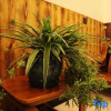 Отель Qingdeng Mountain House (Lin'an Baima cliff scenic spot store), фото 13