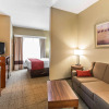 Отель Comfort Suites Oxford I-20 exit 188, фото 42