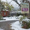 Отель Wisteria Cottage and Cabins в Виберба