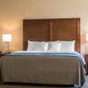 Отель Comfort Inn Apalachin / Binghamton W Route 17, фото 25