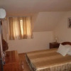 Отель Pensiunea Andreea, фото 3