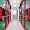 Отель Boryeong Sunshine Pension, фото 1