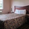 Отель Econo Lodge Inn & Suites, фото 6