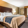 Отель Comfort Inn & Suites Ballpark Area, фото 3