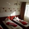 Отель Pensiunea Rozeclas, фото 2