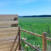 Отель Property With 2 Bedrooms In Sainte Marie Du Mont With Enclosed Garden And Wifi, фото 4