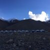 Отель TIH Ladakh Summer Camp Pangong, фото 11