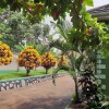 Отель Anna's Place Entebbe в Энтеббе