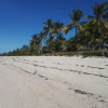 Отель Kilwa Beach Lodge, фото 10