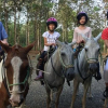 Отель Cinco Ceibas Rainforest Reserve and Adventure Park, фото 22