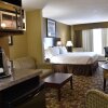 Отель Holiday Inn Express Hotel and Suites St. Charles, an IHG Hotel, фото 19