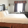 Отель San Diego Downtown Lodge, фото 19