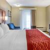 Отель Comfort Inn Lancaster  Rockvale Outlets, фото 6