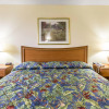 Отель Econo Lodge Live Oak, фото 7