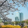 Отель Doubletree By Hilton Seoul Pangyo Residences, фото 1