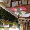 Отель Hôtel Restaurant Les oliviers, фото 16