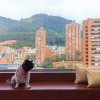 Отель Tequendama Suites Bogota, фото 8