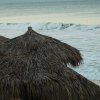 Отель Wyndham Alltra Vallarta, All-Inclusive Resort, фото 22
