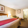 Отель Quality Inn, фото 7