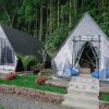 Отель Popitan Garden Campground & Glamping, фото 13