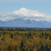Отель Denali Overlook Inn, фото 12