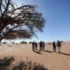 Отель Hoodia Desert Lodge, фото 30