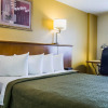 Отель Quality Inn & Suites Near the Theme Parks, фото 2