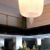 Отель Jindao Hotel, фото 48