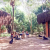 Отель Nature Retreat with Healing Dogs in Brazil, фото 21