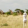 Отель Maasai Simba Camp в Амбосели